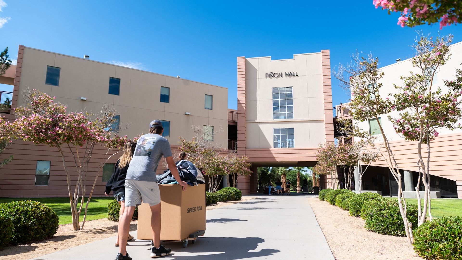 Photo of New Mexico State University dorm move in day 2024