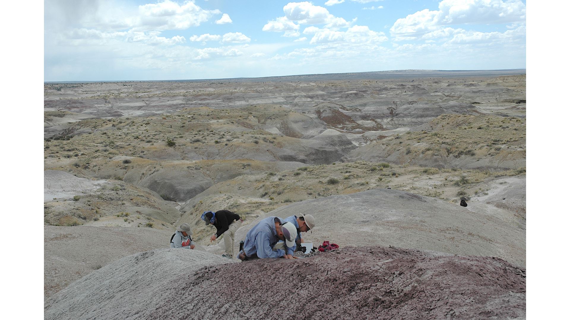 NMSU professor s research uncovers last surviving dinosaurs in New Mexico