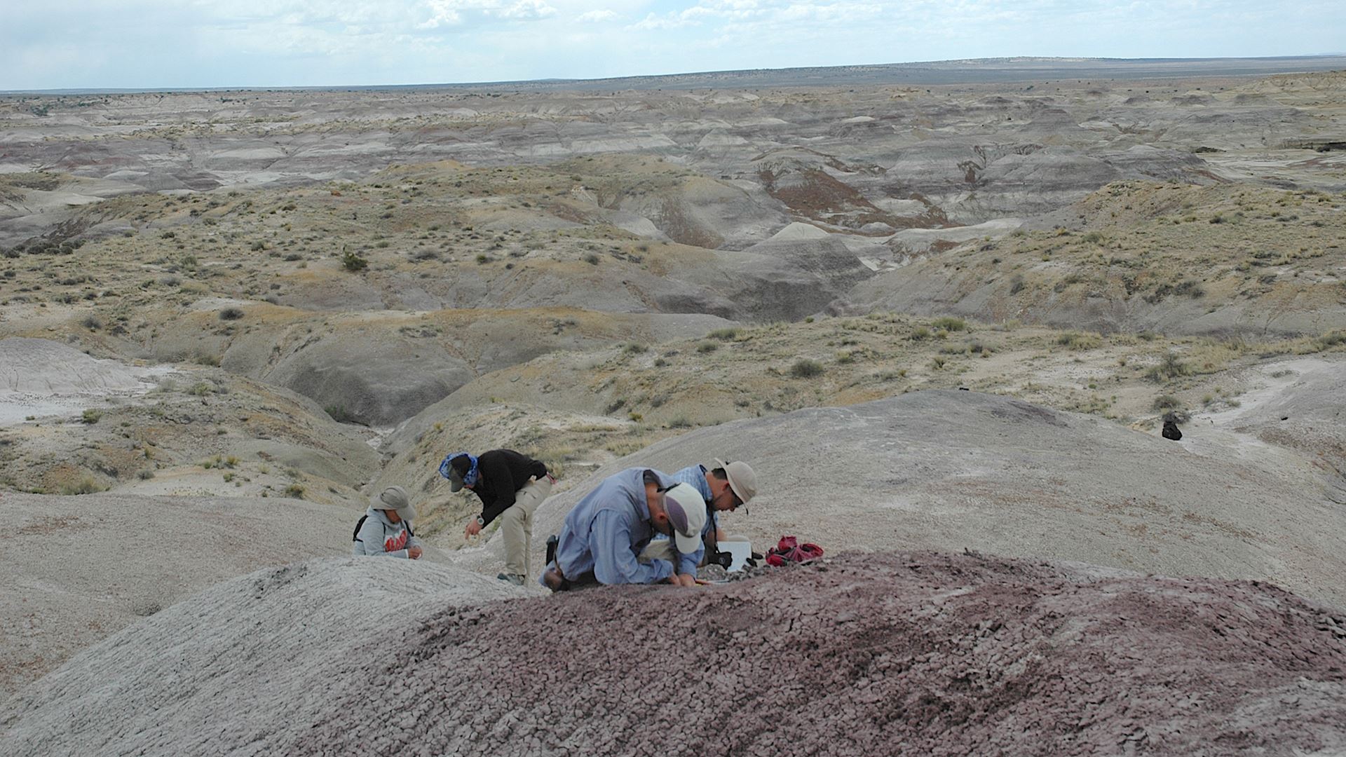 NMSU professor s research uncovers last surviving dinosaurs in New Mexico