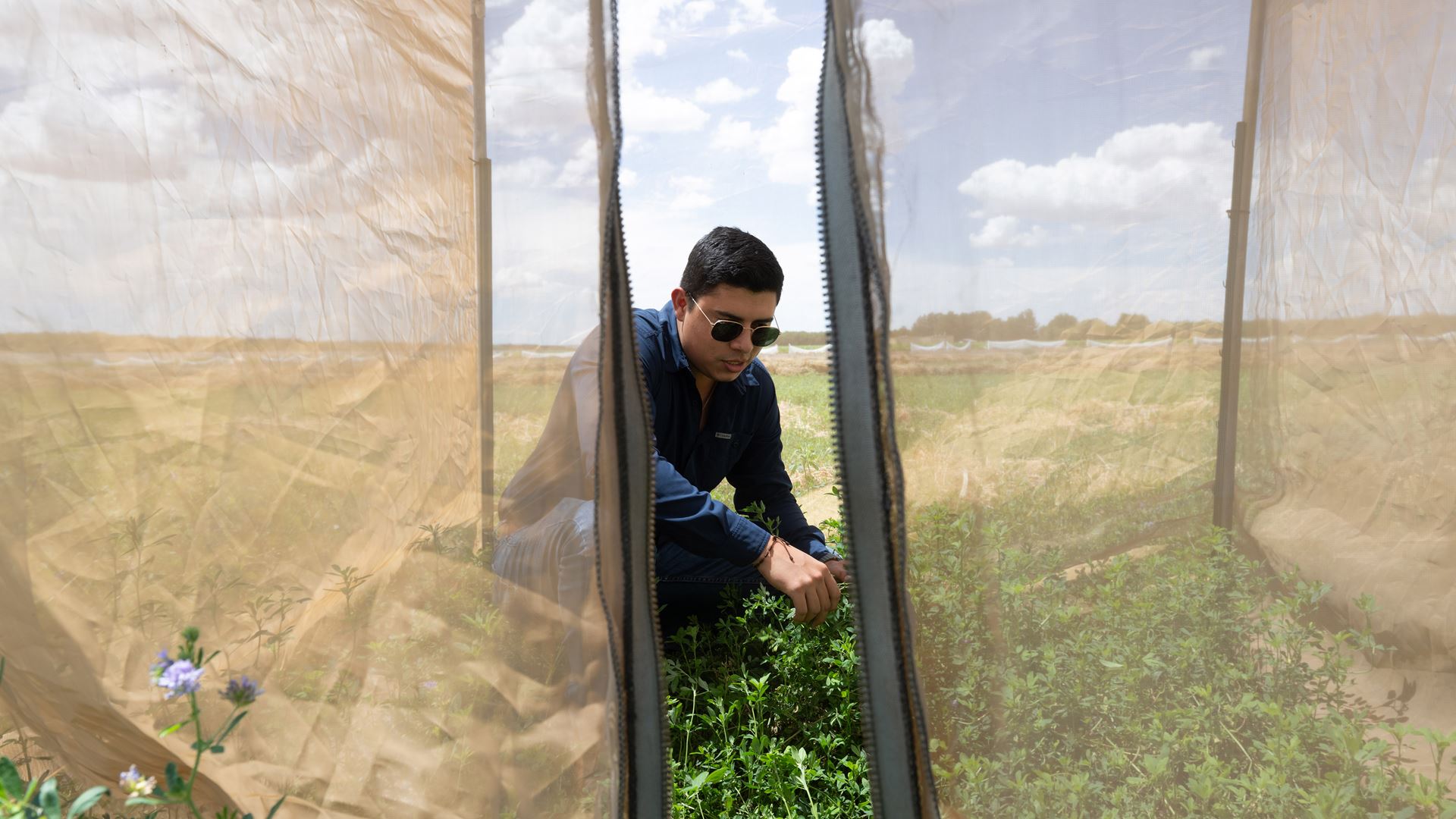 nmsu a a b n p d 072425 5