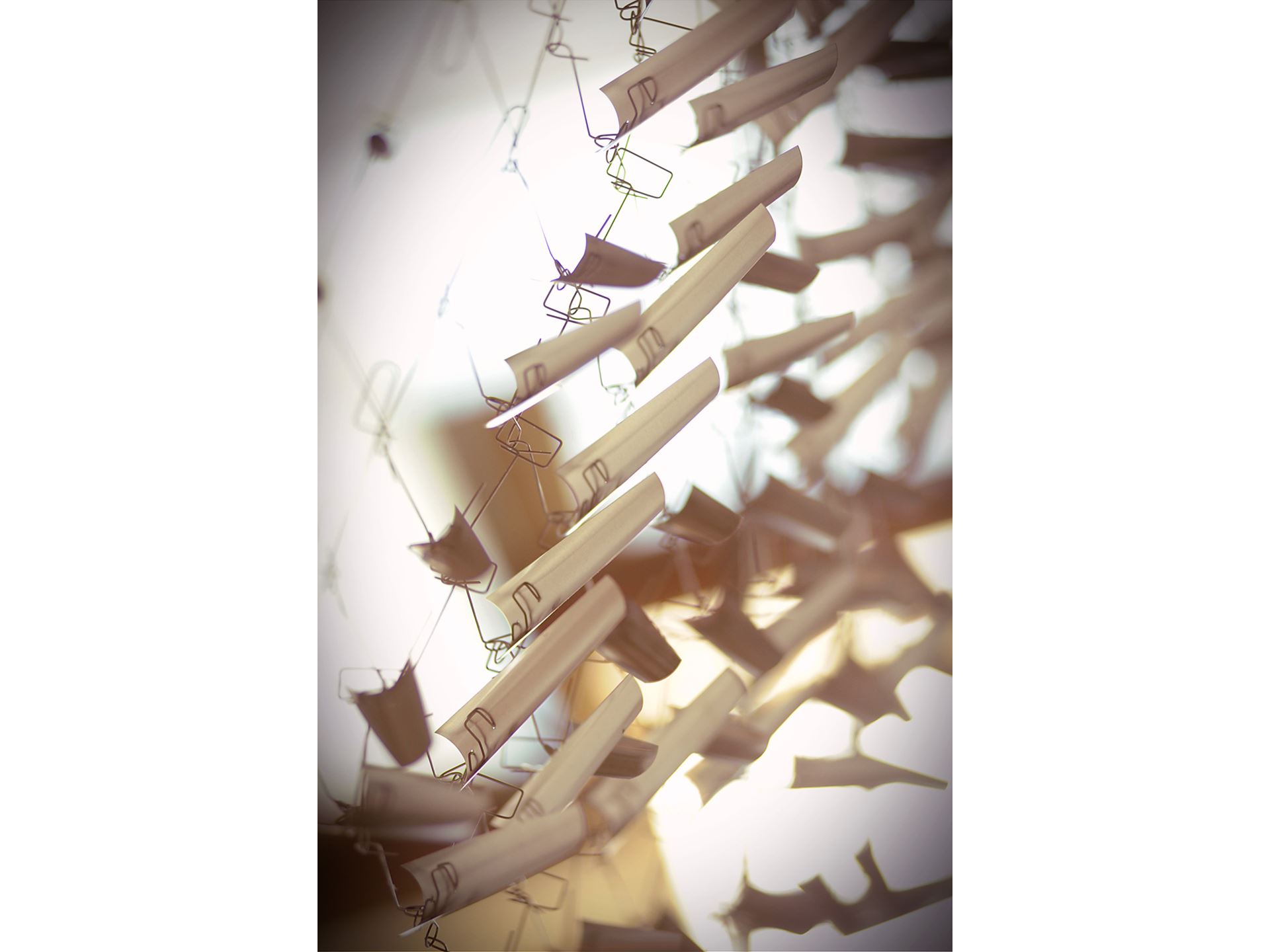 O'Donnell Hall sails
