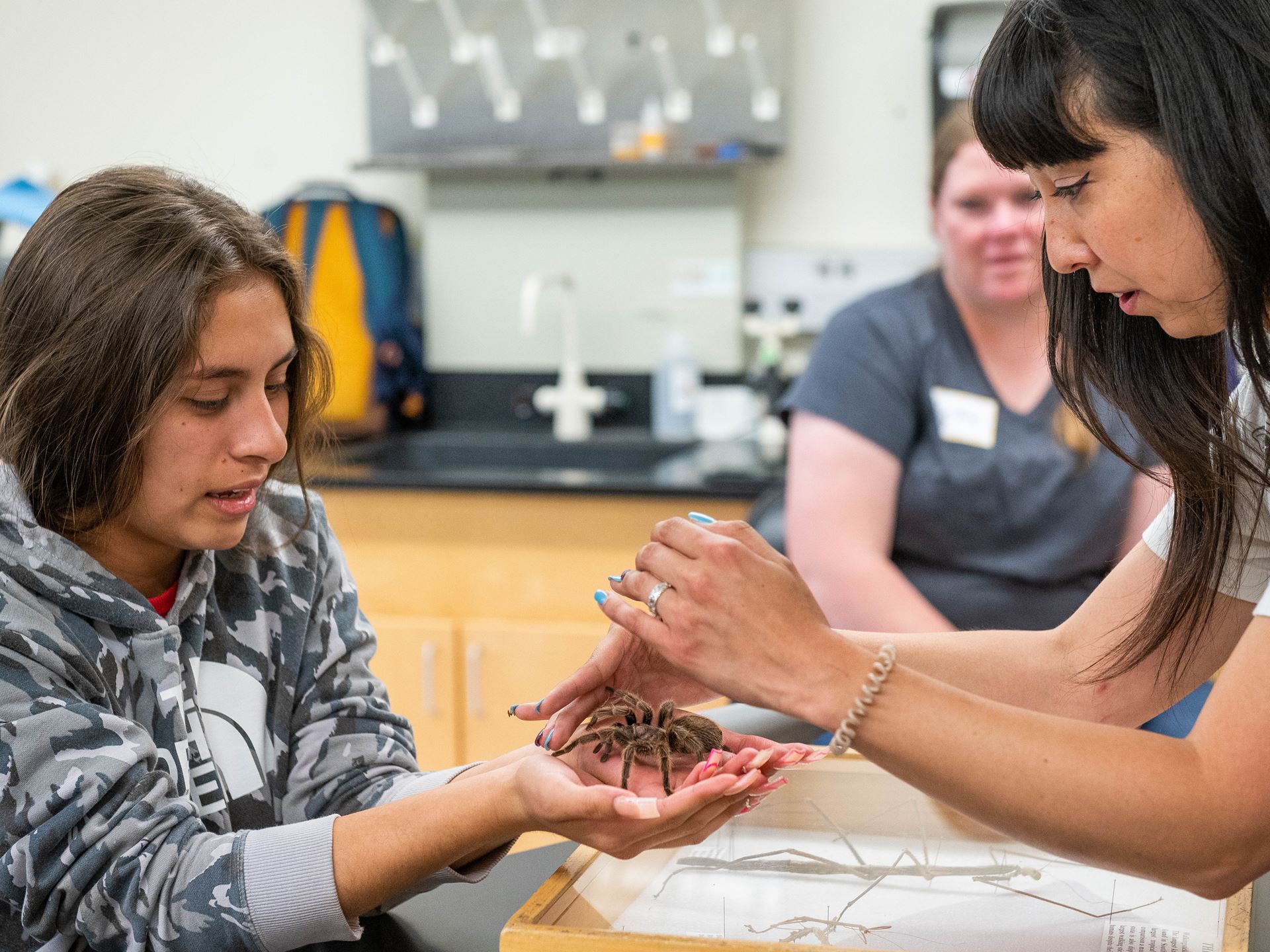 TRIO_Anthropods_Insects_Class _063022-9