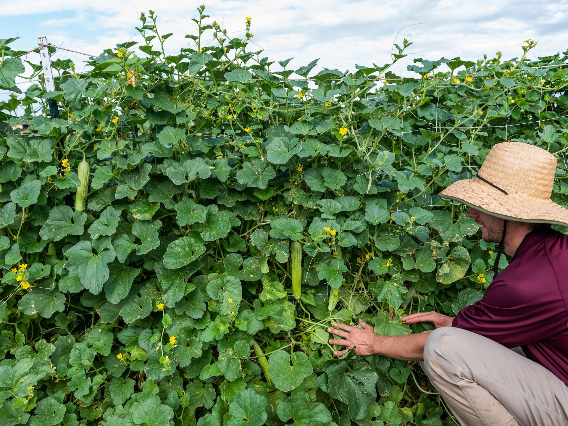 JoseFernadezGarden_Tonnessen_ACES_Mag_072721-16