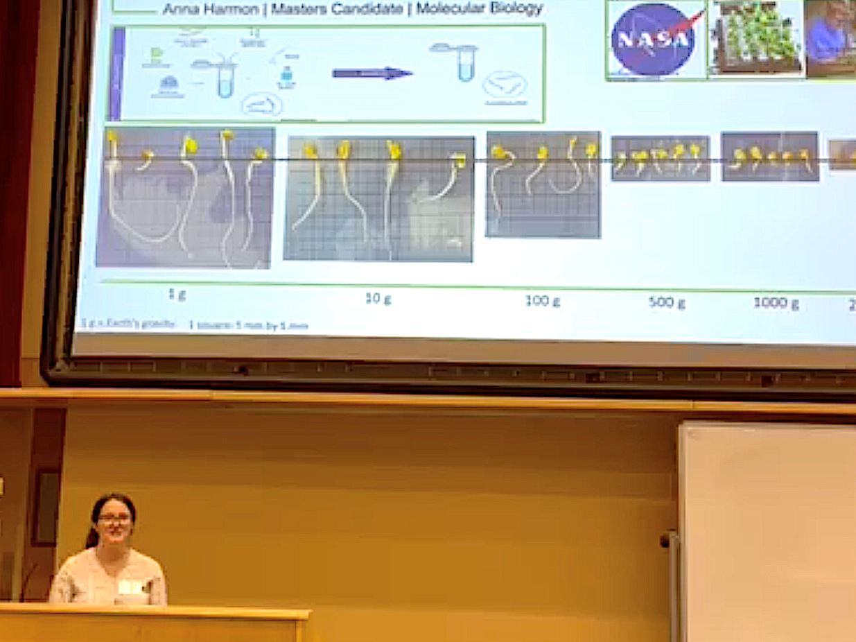 ‘Three Minute Thesis’ competition challenges NMSU grad students to think fast