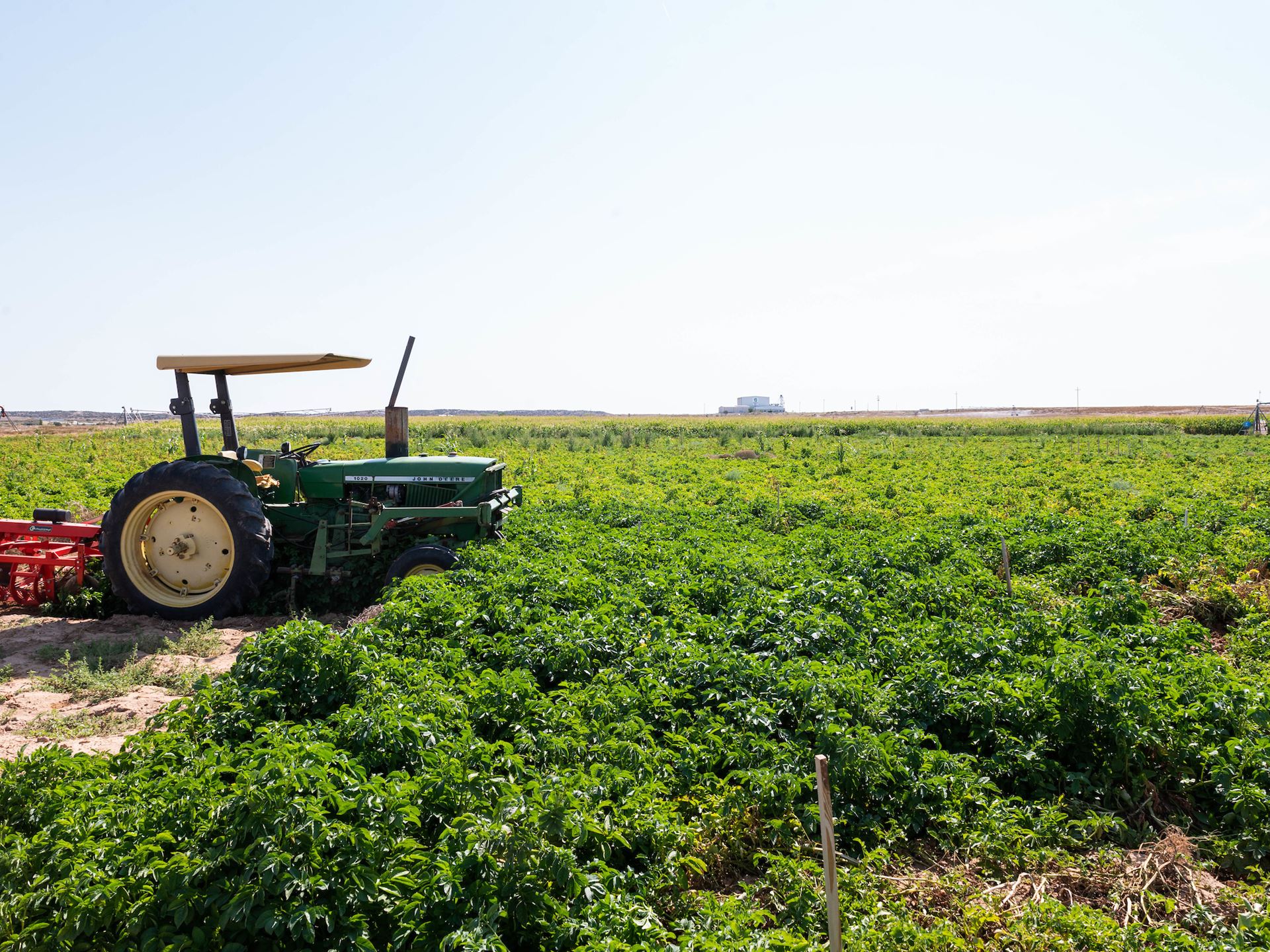 NMSU_FieldDay_Farmington_082521-41