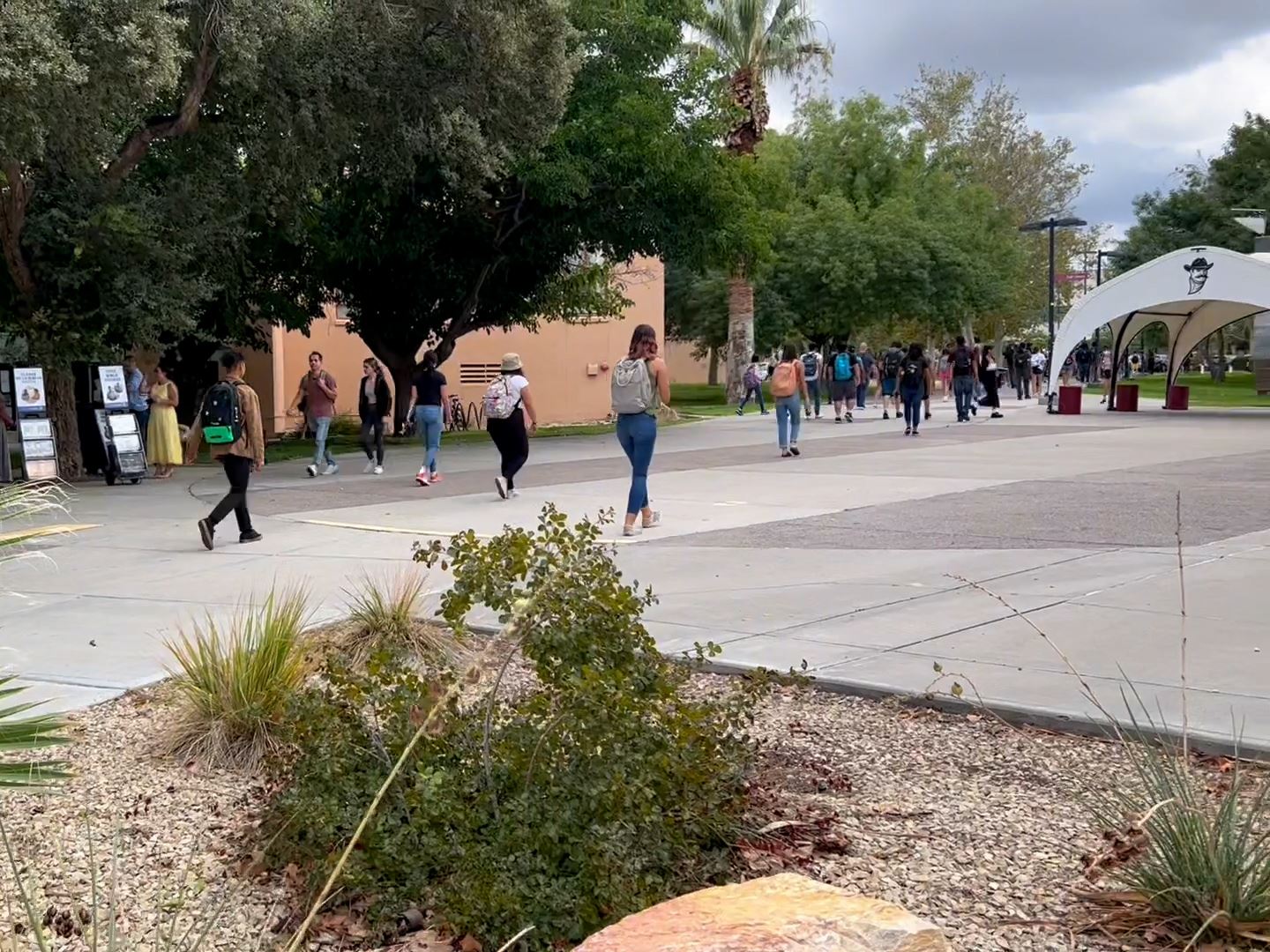 Students starting fall 2021 semester at NMSU main campus