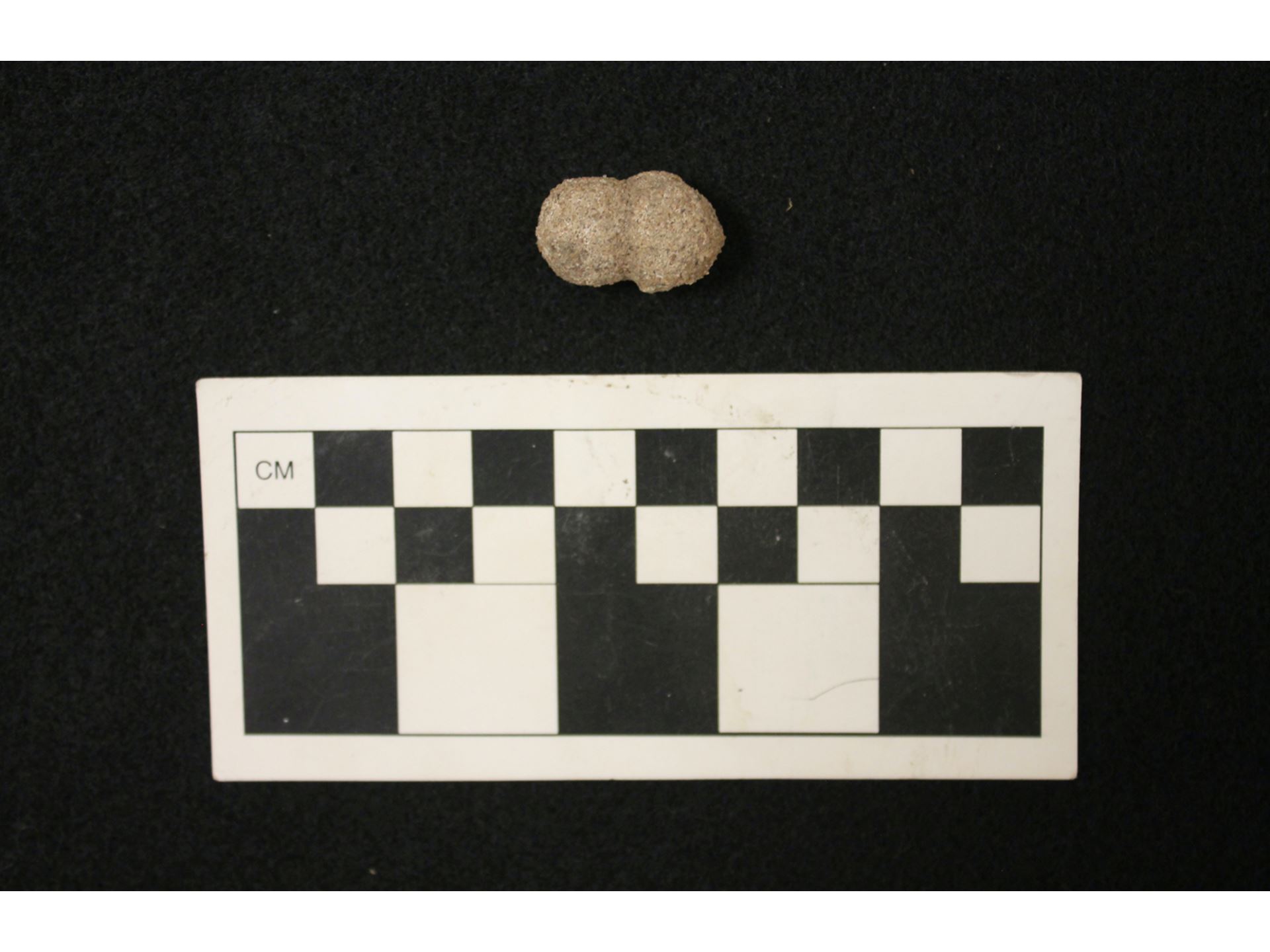 NMSU museum exhibition explores human prehistory in southern New Mexico