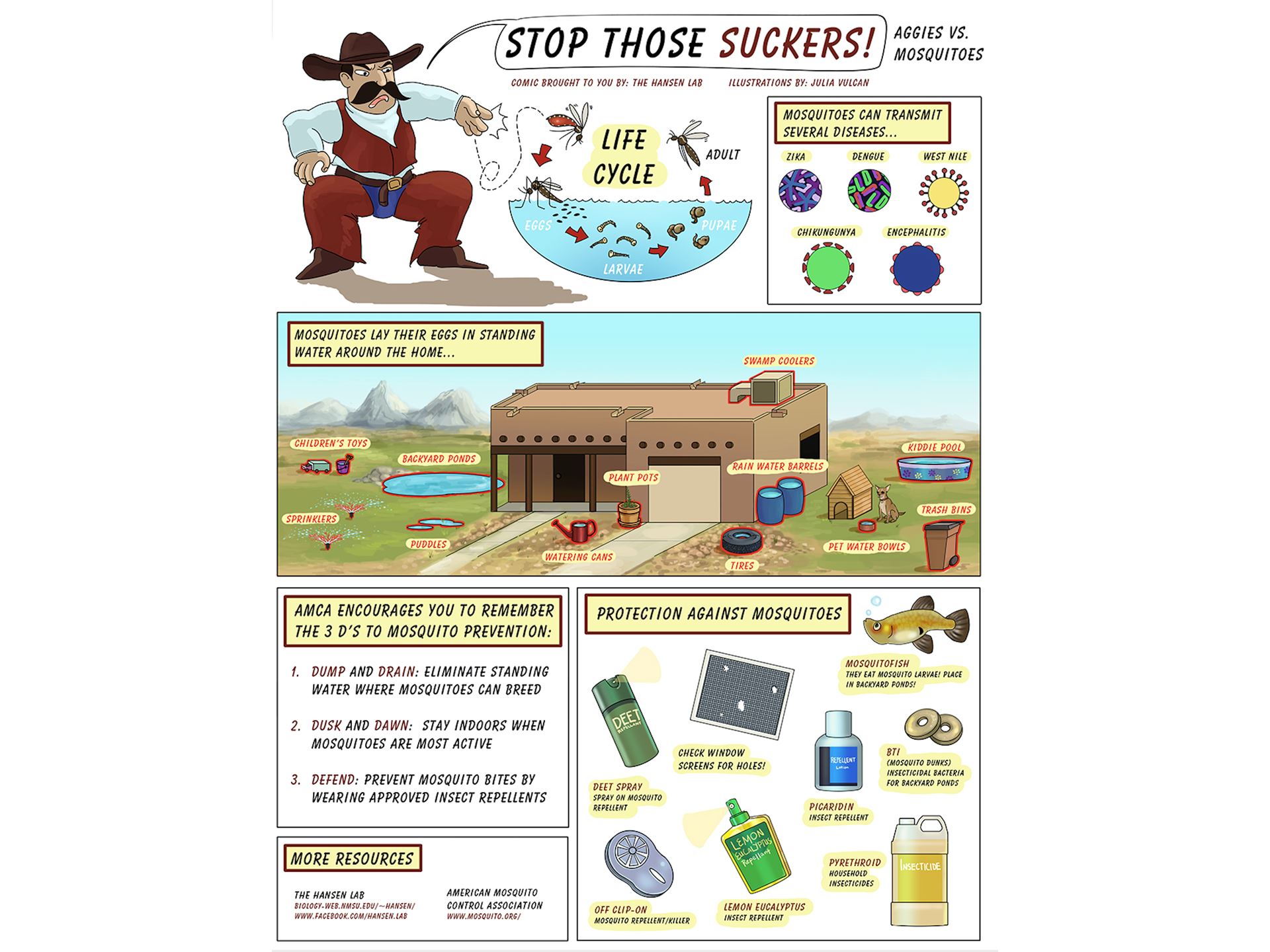 Mosquitoes peak during rainy season, NMSU researcher shares prevention tips