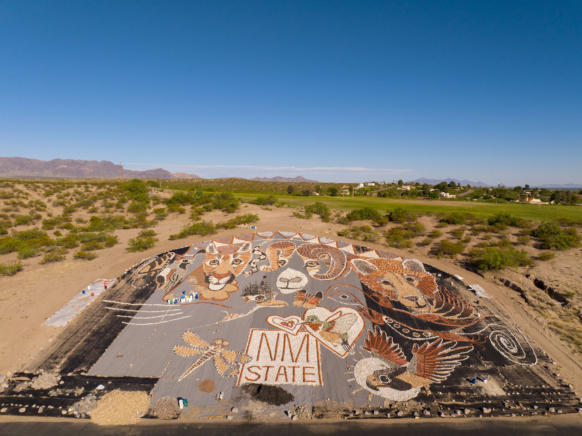 Las Cruces artist continues work on wildlife inspired rock mural
