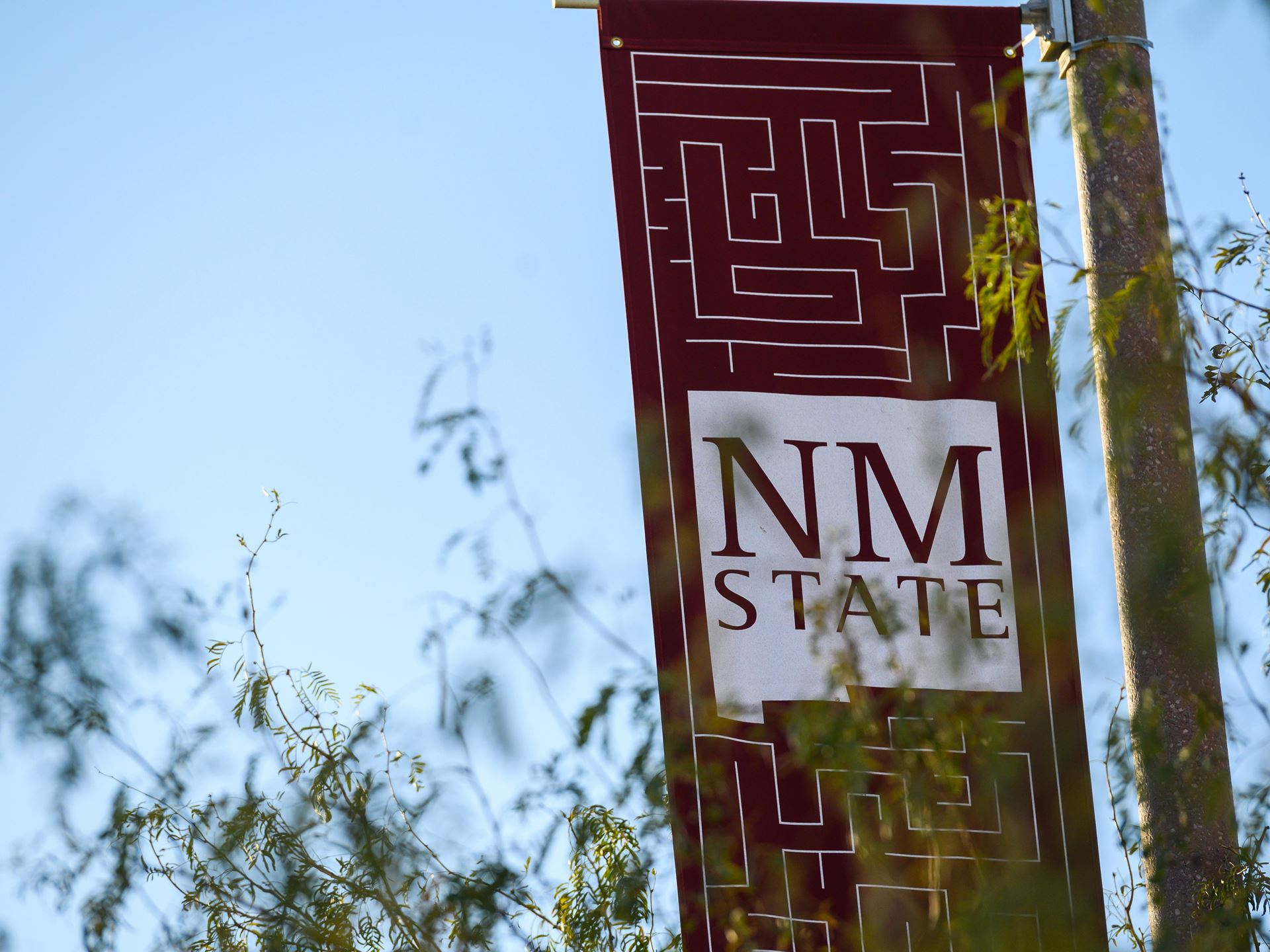 NMSU Campus