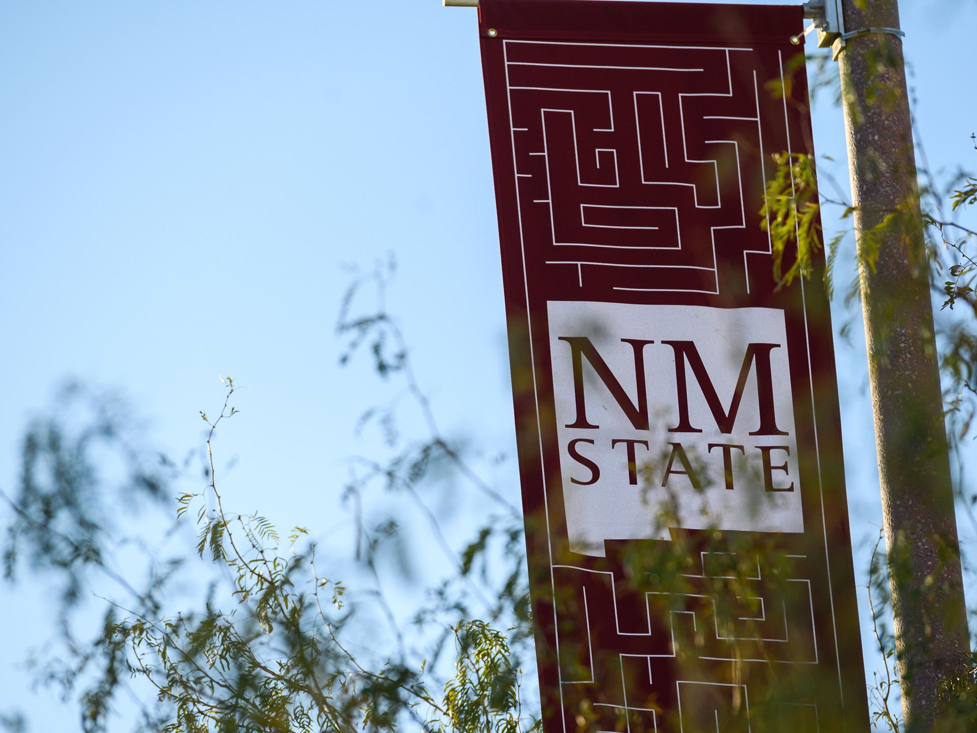 NMSU Campus