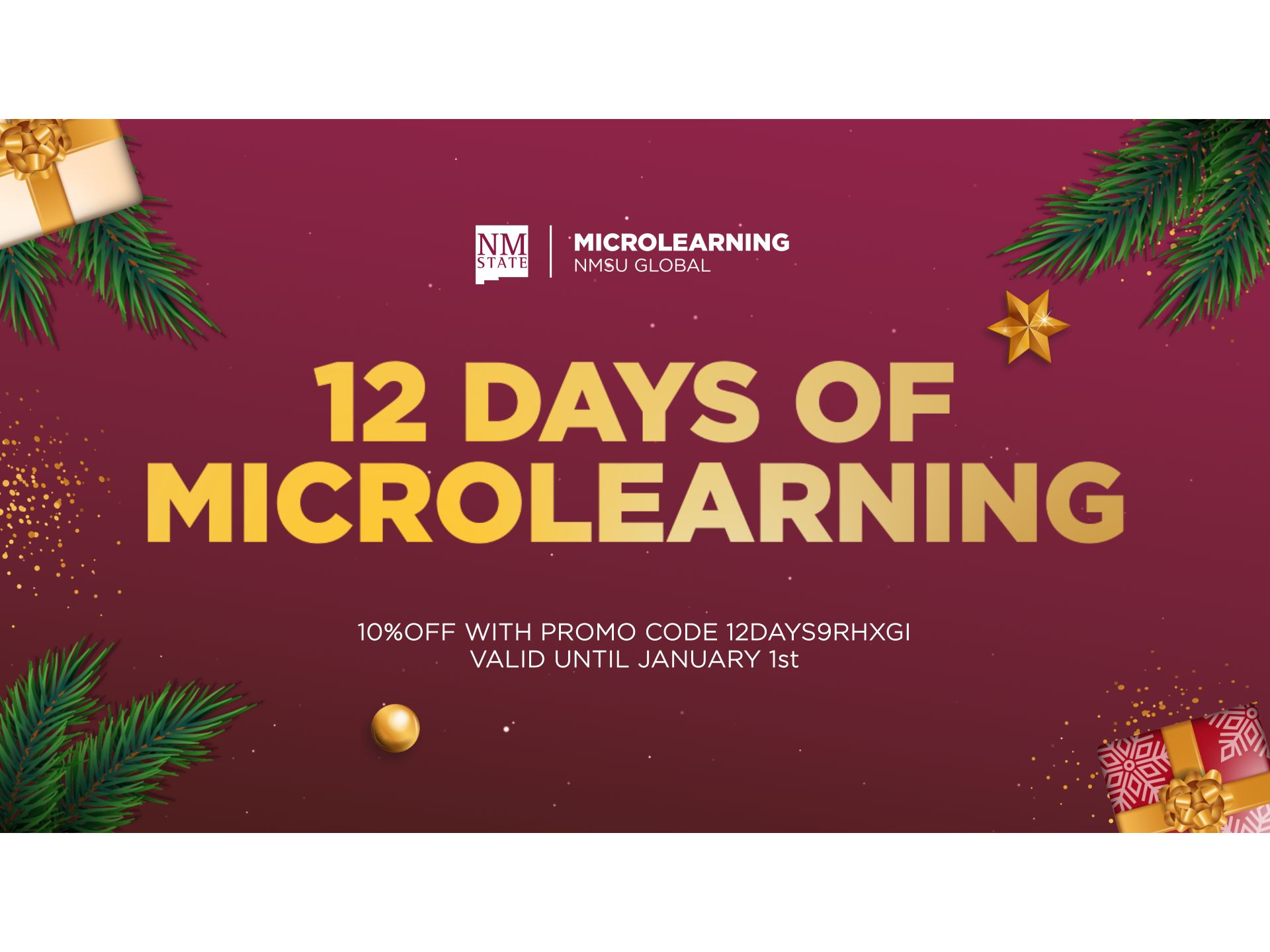 NMSU Global discount