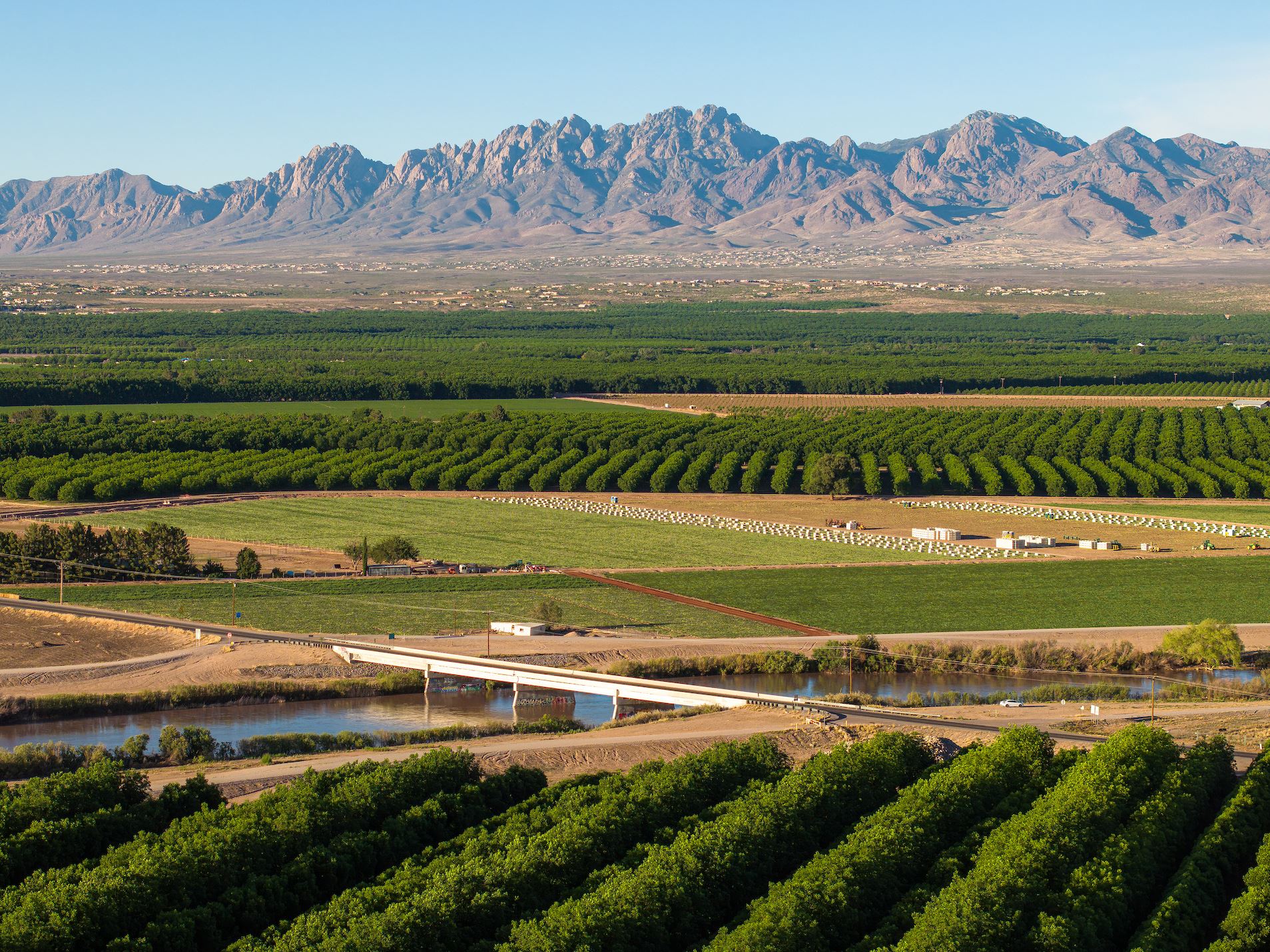 nmsu 052923 l r c d df 3