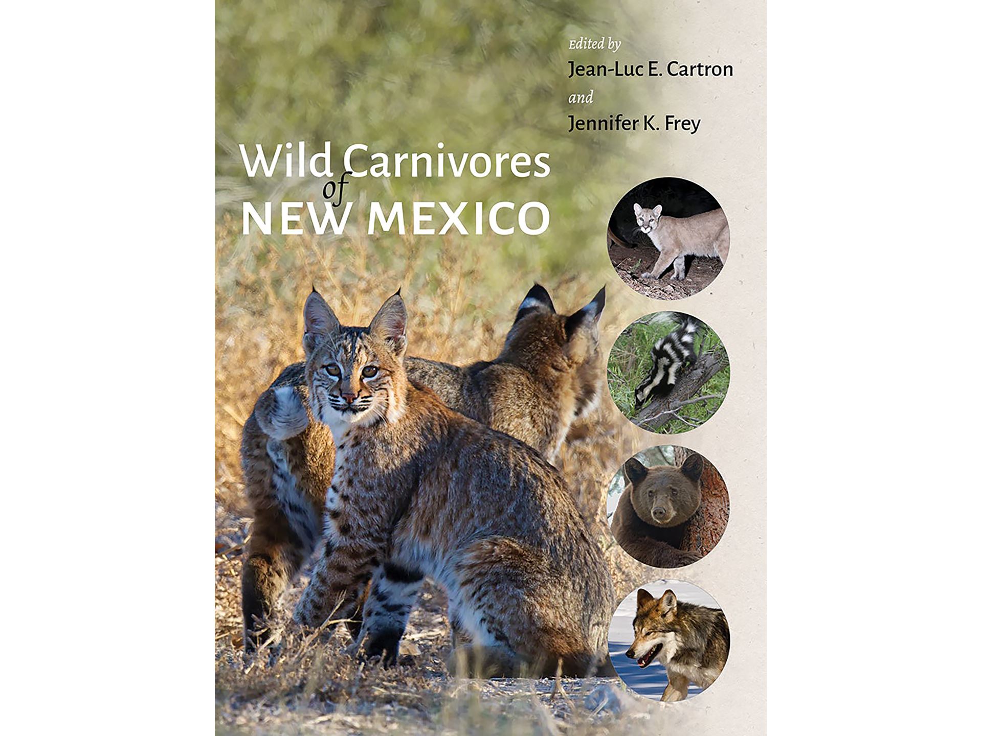 Wild Carnivores of New Mexico