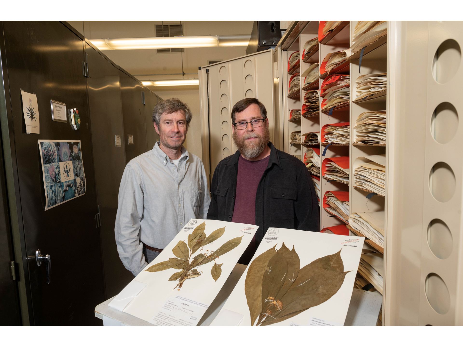 NMSU researchers contribute to understanding flowering plant tree of life