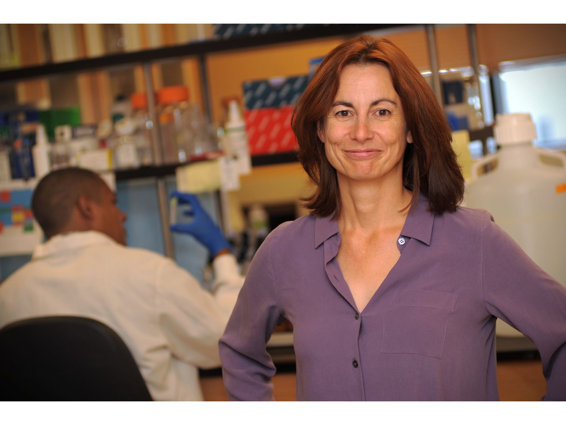 NMSU professor s research links monkeys mosquitoes and natural virus killers