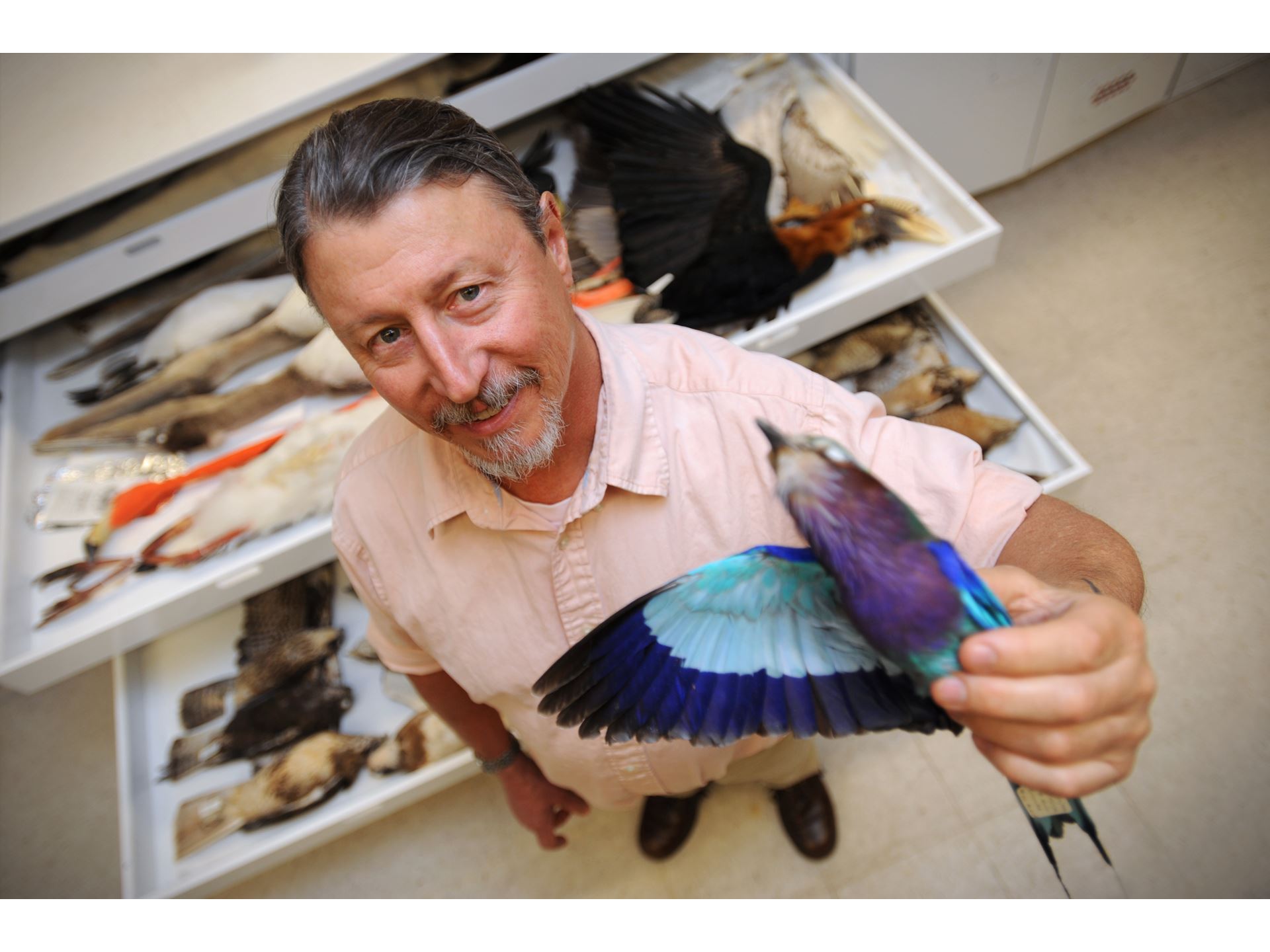 Phase 2 of NMSU professor s bird genome research reveals new methods