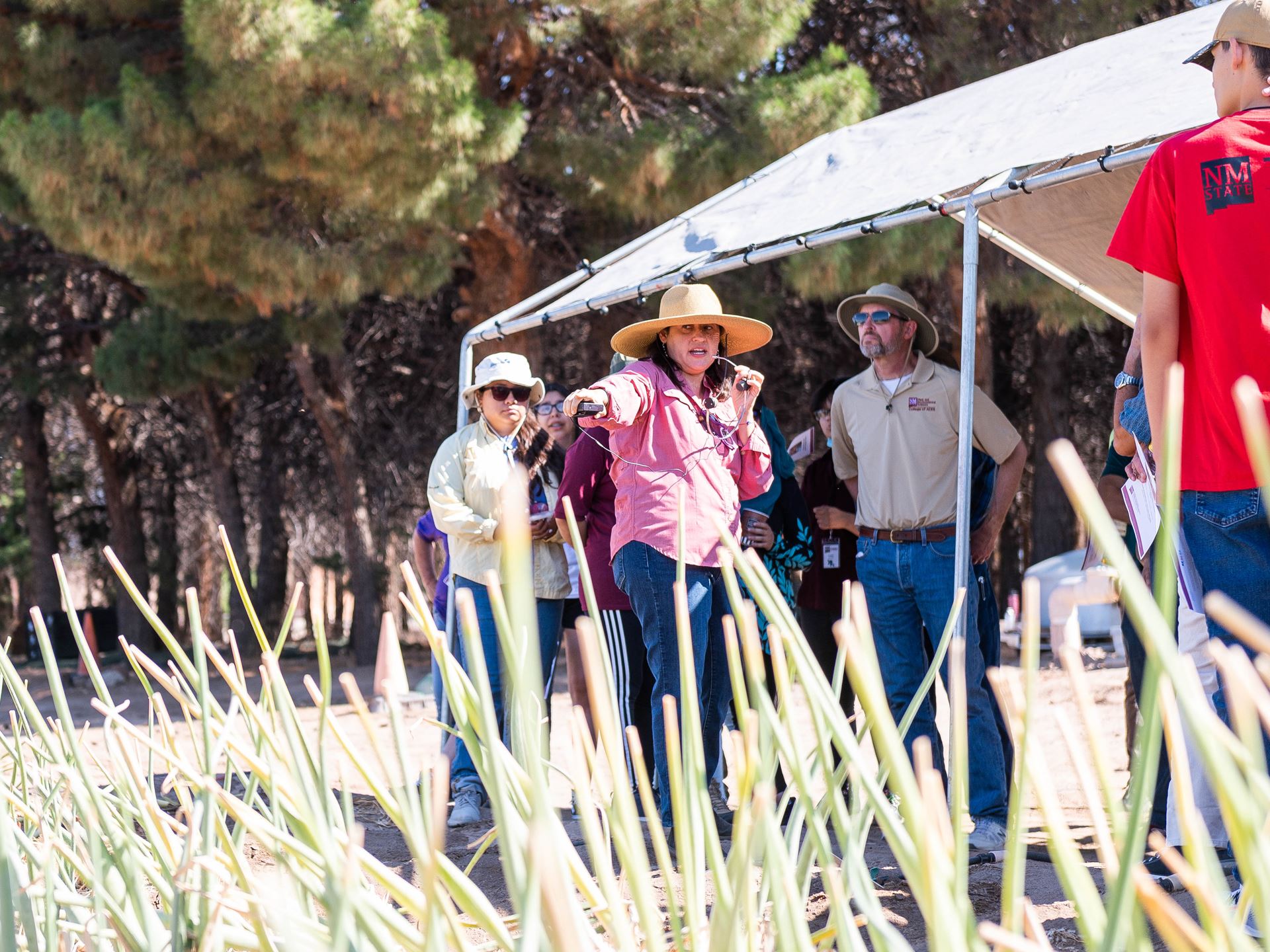 Onion field day 2022