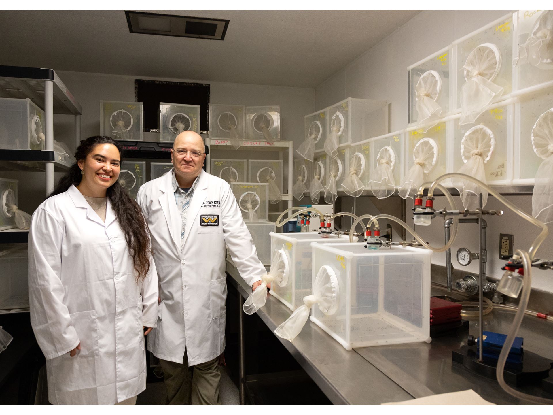 NMSU researchers new formula for mosquito food helps stop spread of disease