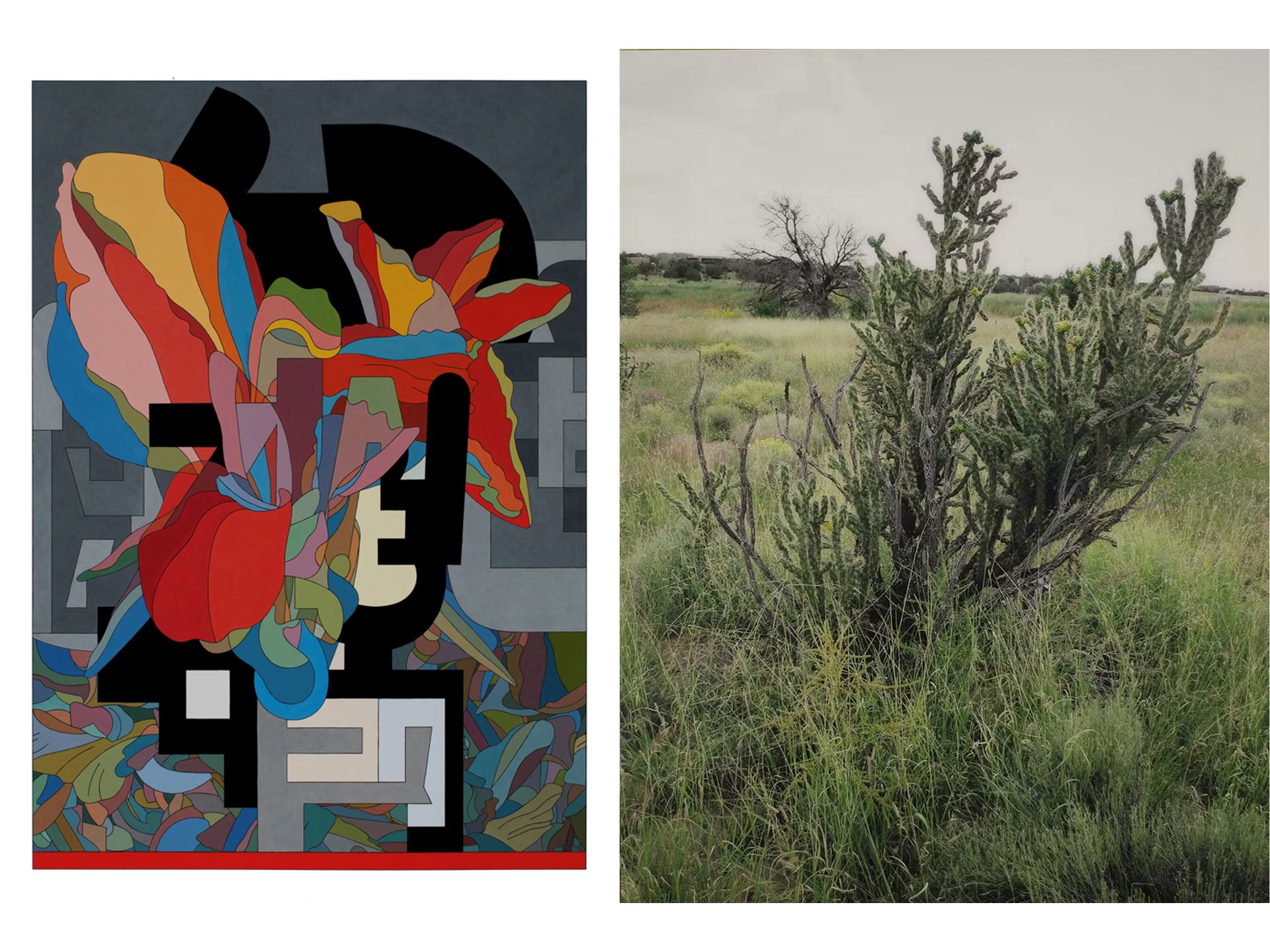 NMSU Art Museum to open two new exhibitions June 11
