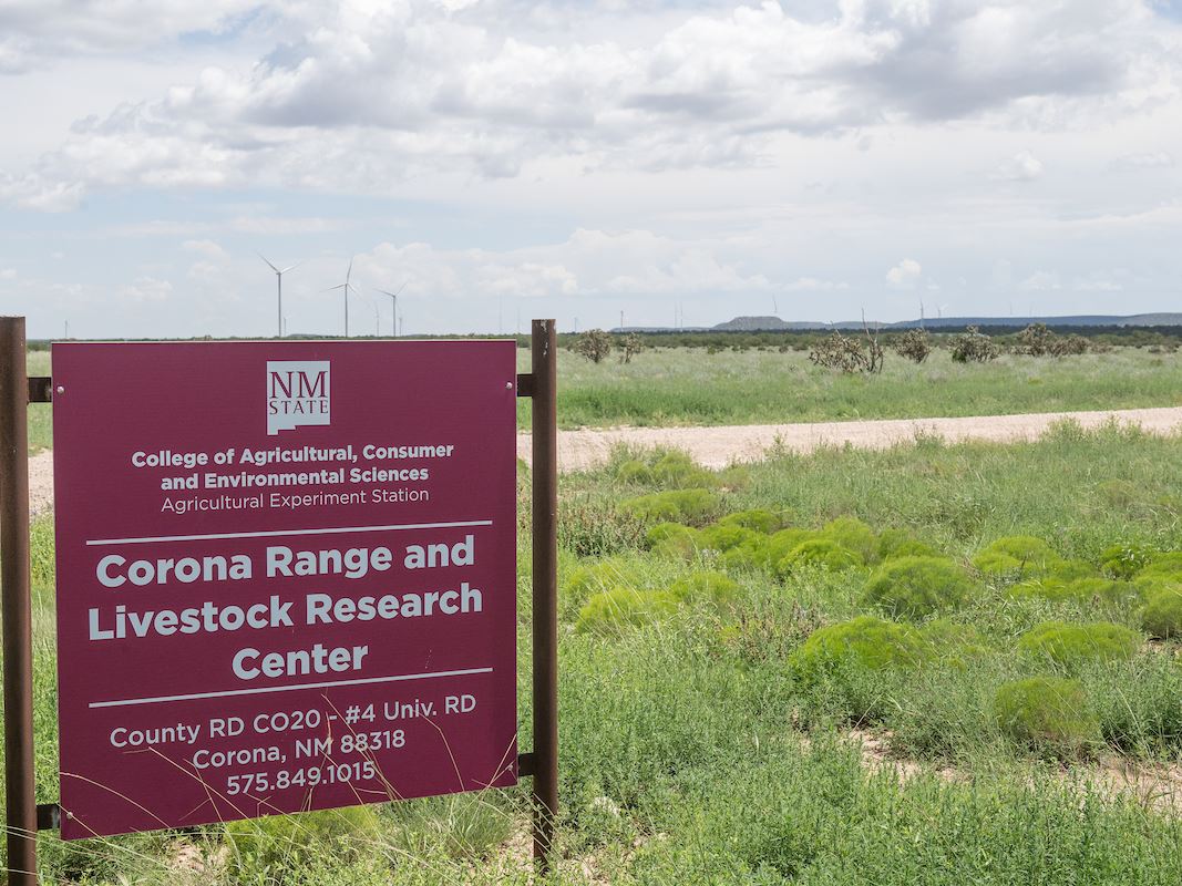 IMAGE DESCRIPTION Building signage for the NMSU Corona Range and Livestock Research Center