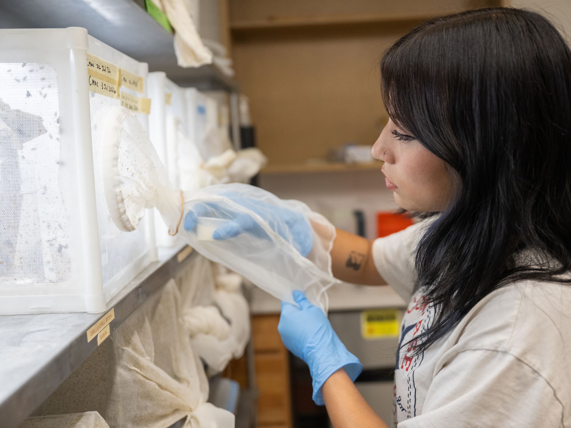 Photo of Alexis Olmos NMSU student pursuing a degree in agricultural biology with a concentration in entomology