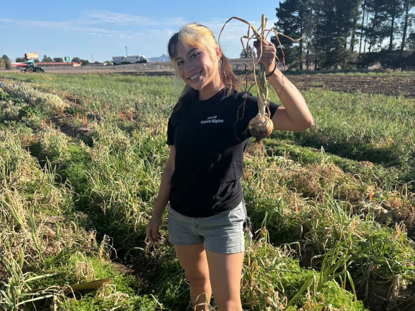 Photo of Alexis Olmos in the field with onion