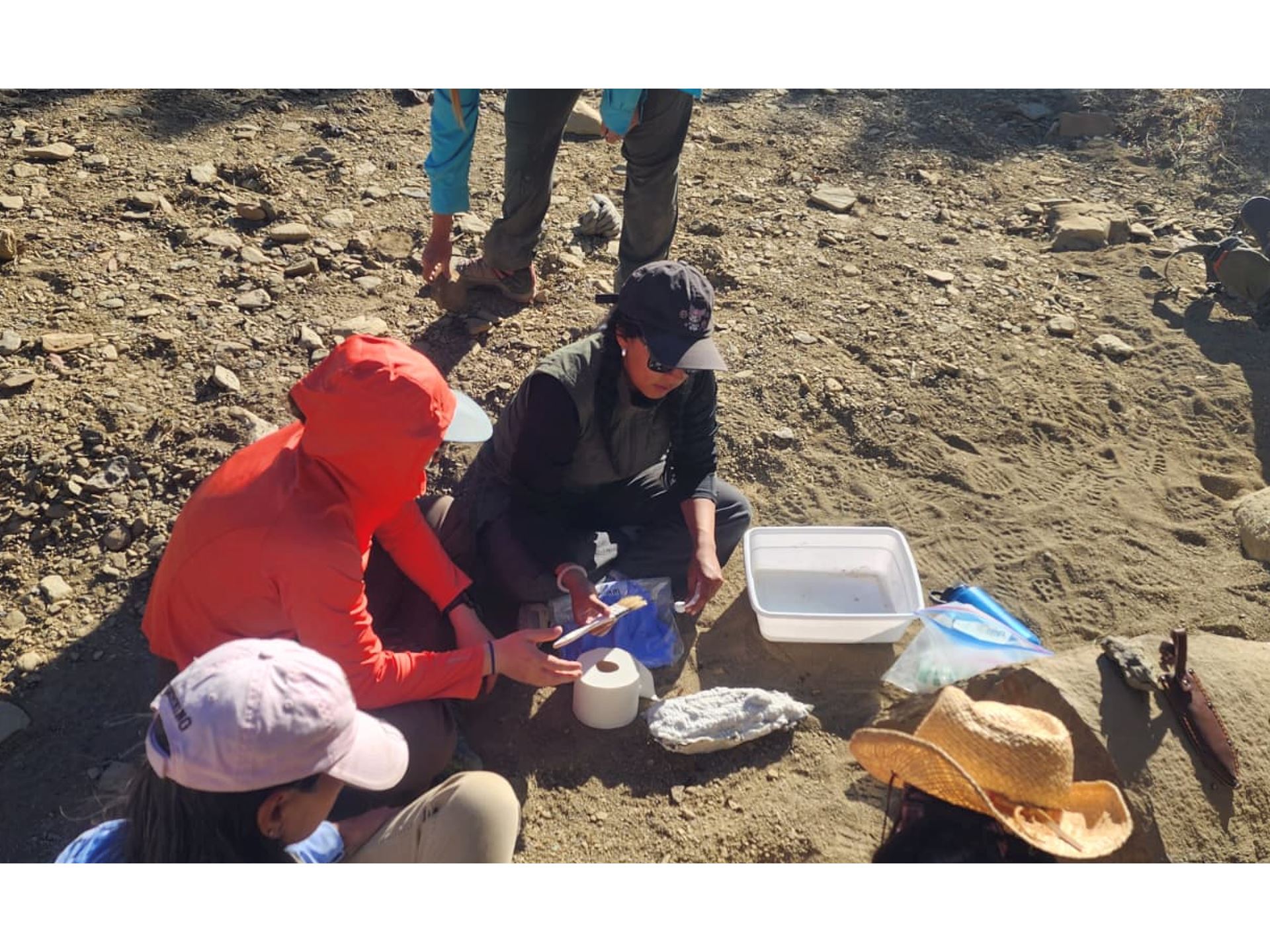 NMSU partnership sparks national push to revive much needed geology field camps