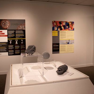 The "Outbreak: Epidemics in a Connect World" exhibit in the University Museum’s West Gallery contains 3D prints of virus