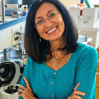 Elba Serrano, Regents professor of biology, will be traveling to Portugal next spring to study marine algae as a source
