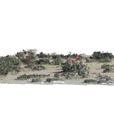 A segment of a 3D-point cloud captured by an unmanned aerial vehicle with classified photons overlaid at the Jornada Bas