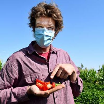 Brad Tonnessen, New Mexico State University Extension vegetable project manager, will talk about seed saving at the firs