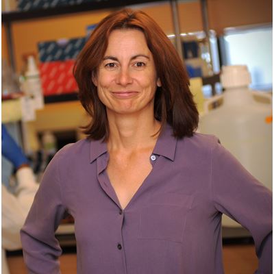 New Mexico State University Regents Professor of Biology Kathryn Hanley