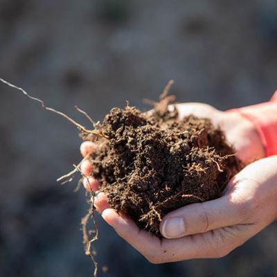 Healthy soil is the key to successful agriculture. New Mexico State University will host a two-day soil health workshop