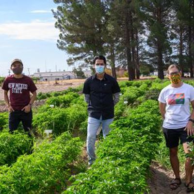 Dennis Nicuh Lozada, left, an assistant professor in the Department of Plant and Environmental Sciences at New Mexico St