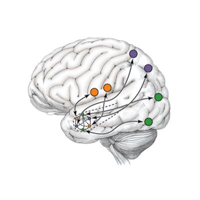 This graph depicts the hippocampus encoding multisensory information