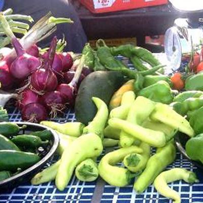 New Mexico State University Cooperative Extension Service is presenting the federally required Produce Safety Alliance’s