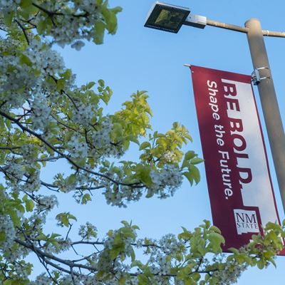 New Mexico State University has awarded emergency financial aid grants to almost 5,700 students in the NMSU system throu