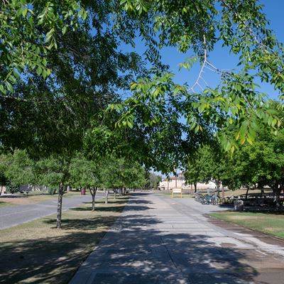 With online class instruction and employees working from home, the New Mexico State University campus looks very differe