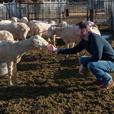 Ryan Ashley - Associate professor of animal science in the College of Agricultural