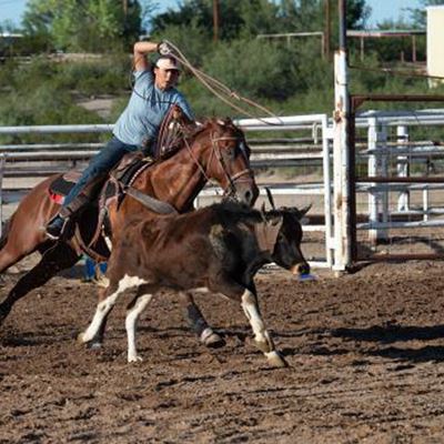 Fall Rodeo