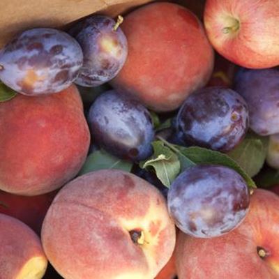 Peaches and plums