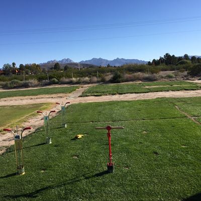 Soil-health Grass