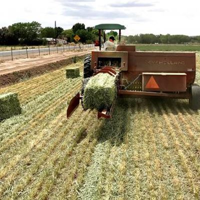 Equipment debuts, irrigation efficiencies and pest management will highlight the 2020 Southwest Hay & Forage Conference
