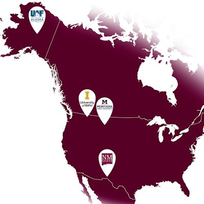 Catalyst_map