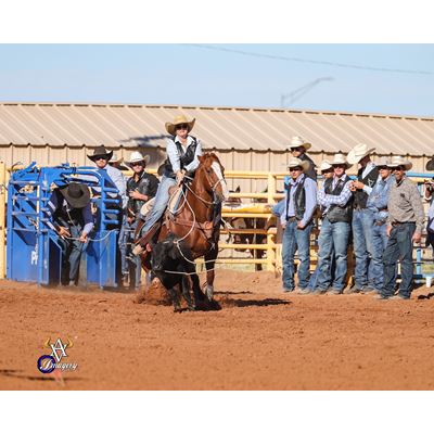 Ellie Anderson NMSU Rodeo