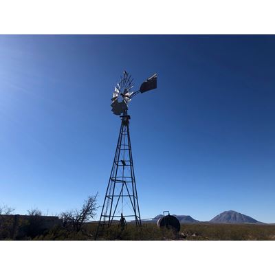 Windmill with hawk