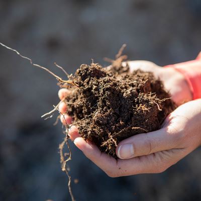 Soil health