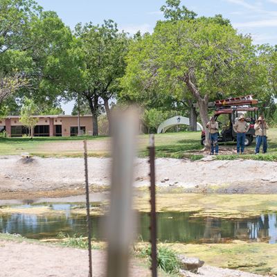 NMSU AlumniPond2 jpg