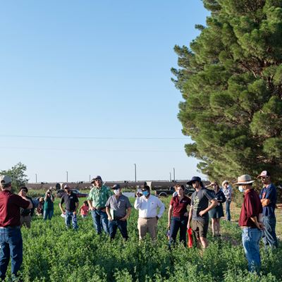 NMSU Artesia field day will feature children’s activities, research ...